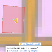 Nhà em cần bán nhà 2 mặt tiền Xuân Quế Cẩm Mỹ Đồng Nai